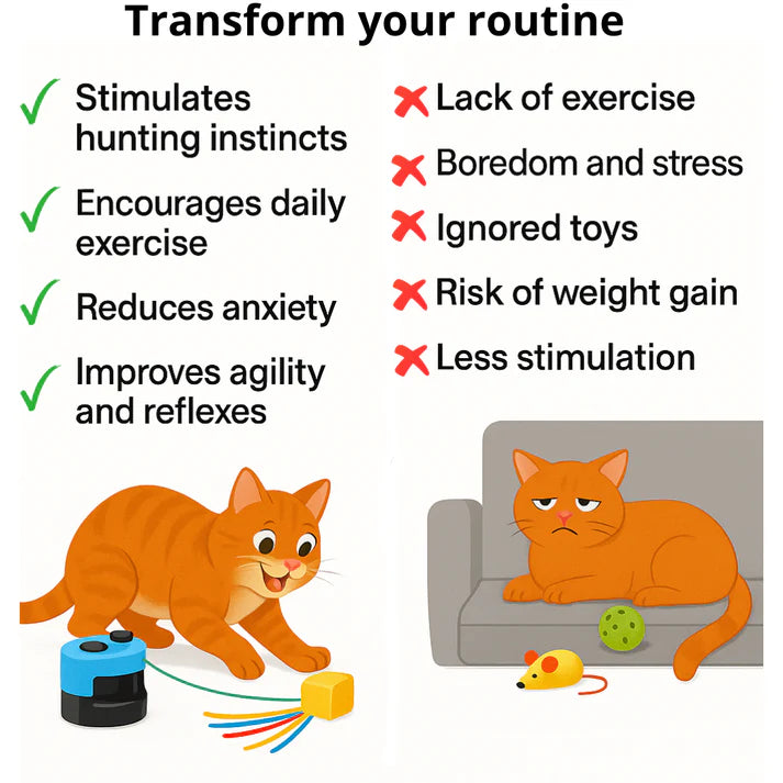 Katten interactief speelgoed