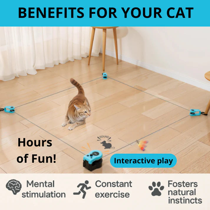 Katten interactief speelgoed